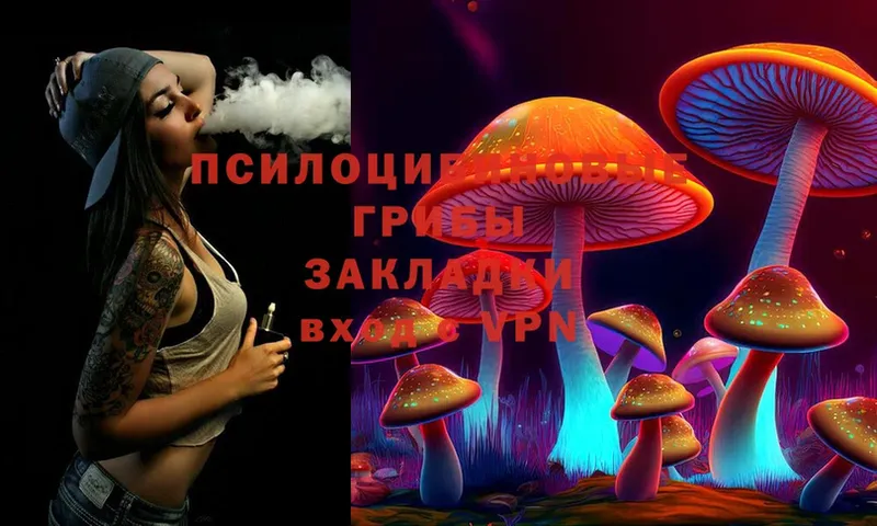 Галлюциногенные грибы Psilocybine cubensis  Высоцк 